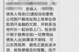 宁明债务清欠服务