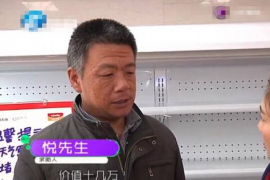 宁明融资清欠服务